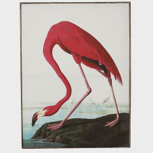 Atmosphère Déco tableau flamant rose