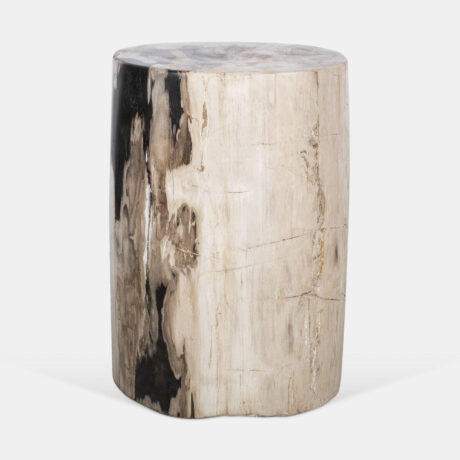 Bois pétrifié – Image 3