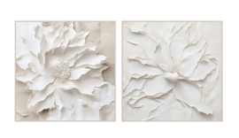 TOILE
